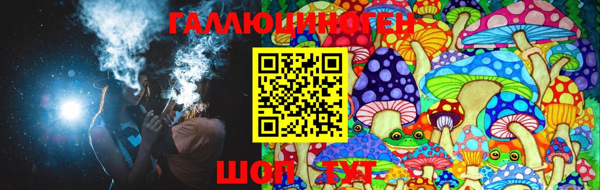 Псилоцибиновые грибы Psilocybe  Вход с VPN  Саров 