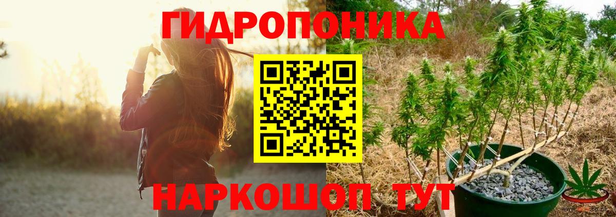 Марихуана гибрид  Каннабис MAZAR  Вход с VPN  Саров  Шишки марихуана семена  Конопля Amnesia 